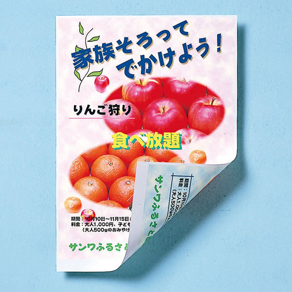 サンワサプライ インクジェット用両面印刷紙・厚手 JP-ERV5NB5 1冊（直送品）