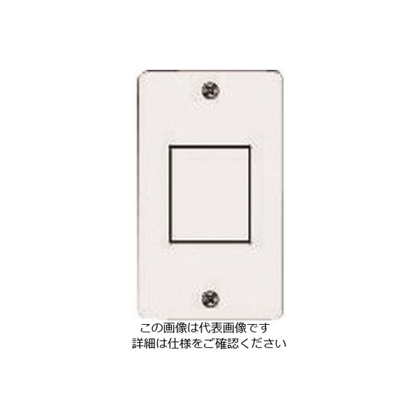 パナソニック（Panasonic） Panasonic フルカラー新金属コンセントプレート WN