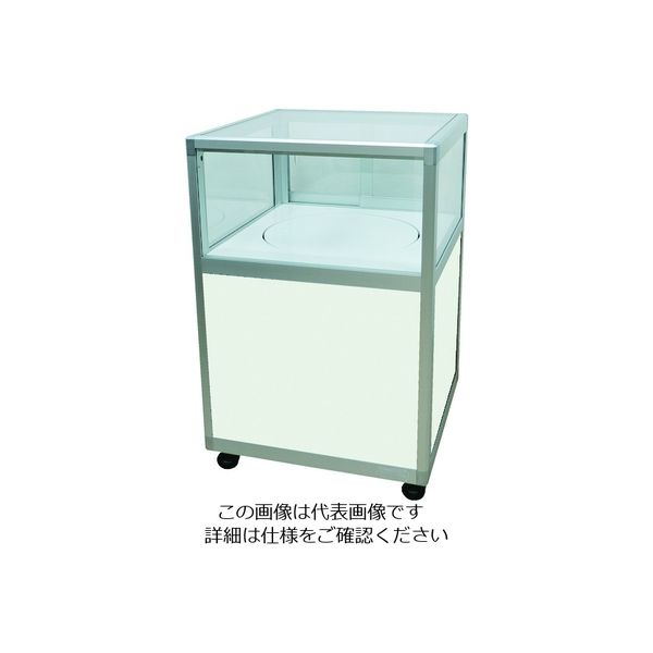 ハヤノ産業 ハヤノ エクシード ターンケース シルバー プッシュ錠付 W600XD600XH920 CS6-60-TTSC-S-P 1台（直送品）