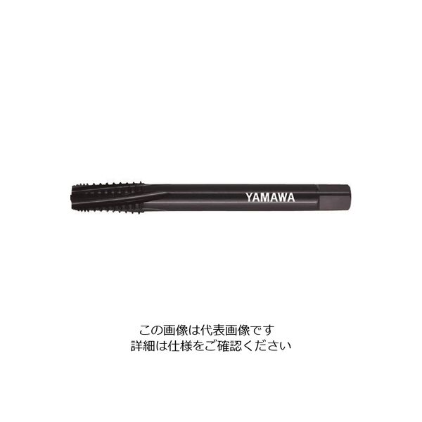 LS-INT-PT-100-1/4-19（直送品） 9,425円
