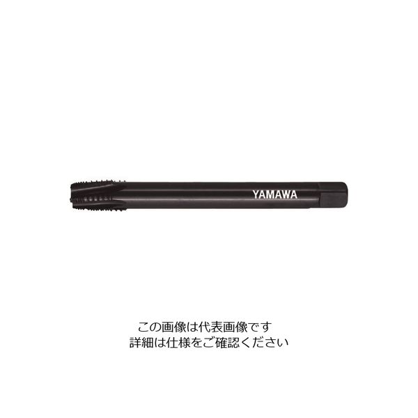 LS-INT-S-PT-150-1/2-14（直送品）