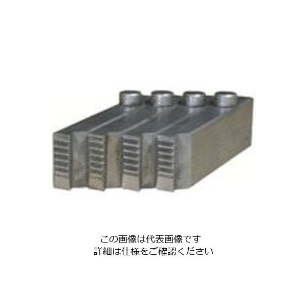 育良精機 育良 マイコン替刃(11010) PT1/2X3/4 1組 805-2765（直送品）