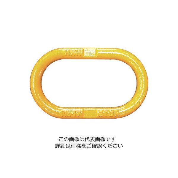 スリーエッチ HHH 鍛造製親環マスターリンク 6t ML-22 1個 216-9791（直送品）