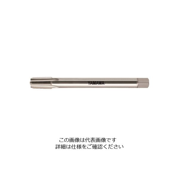 LS-NPTF-150-3/8-18（直送品）