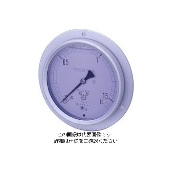 第一計器製作所 GRKグリセリン入圧力計 G-DU3/8-100:100MPA 1個（直送品） 18,615円