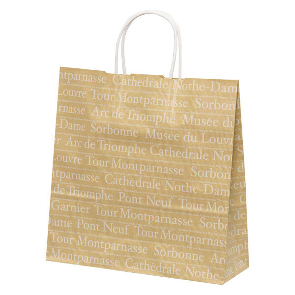 パックタケヤマ HX フランセ XZT67648 1ケース(50枚入x4袋)（直送品）