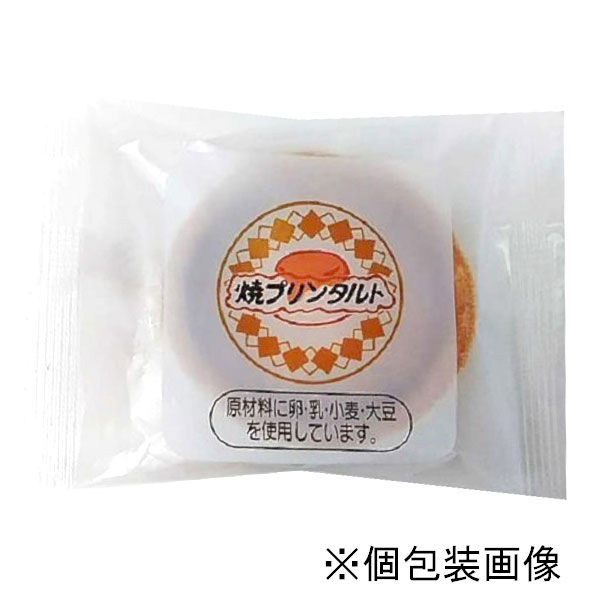 「業務用」 日東ベスト 焼きプリンタルト　14902385979137 30g×40（直送品）