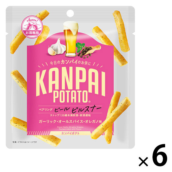 ポテトチップスさん専用 ポテトチップス おつまみ KANPAI POTATO 小袋 30g ピルスナー