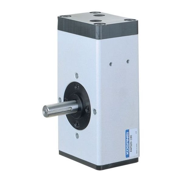 コガネイ ロータリアクチュエータ RAPシリーズ RAPS20-90-ZC130B2 1個（直送品）