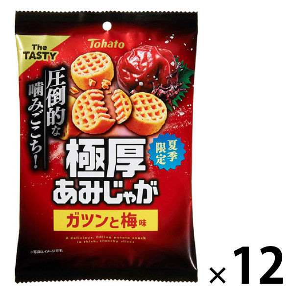 ポテトスナック おつまみ 極厚あみじゃが ガツンと梅味 45g 1