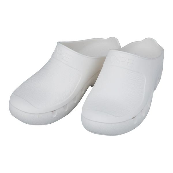 富士ゴムナース ESDサンダル(オートクレーブ対応)2L(26.0~27.0cm) 4-6795-03 1足（直送品）