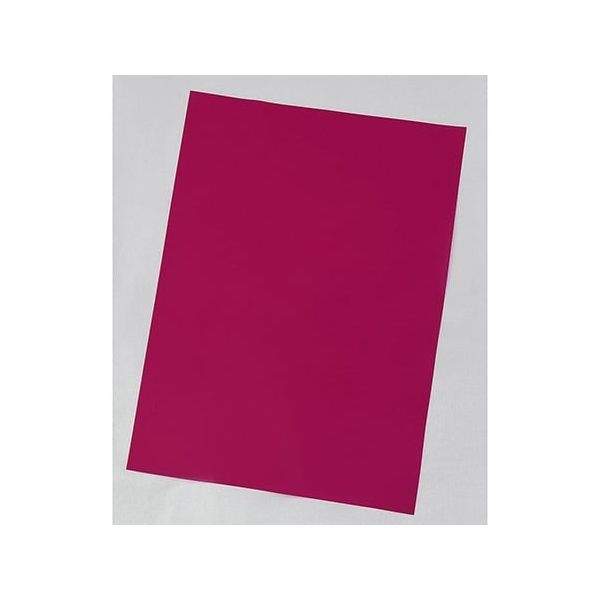 アズワン クリーンセパ(R) 赤色 #25 10枚入 65-9491-80 1袋(10枚)（直送品）