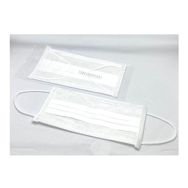 アズワン クリーンマスク 3層耳掛け 個包装 50枚入 65-9539-60 1袋(50枚)（直送品）