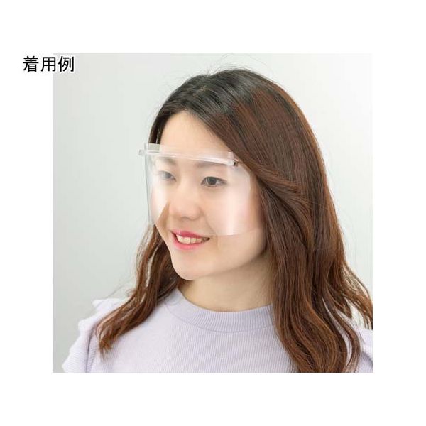 アズワン HMアイシールド クリア 10セット (1セット:フレーム1個+替シールド5枚) 67-4765-19 1箱(10セット)（直送品）