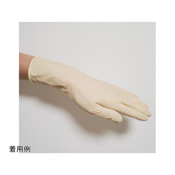 エトップ クリーン環境向けラテックス手袋 未洗浄品 100枚入 L 270E 1袋(100枚) 67-6591-04（直送品）