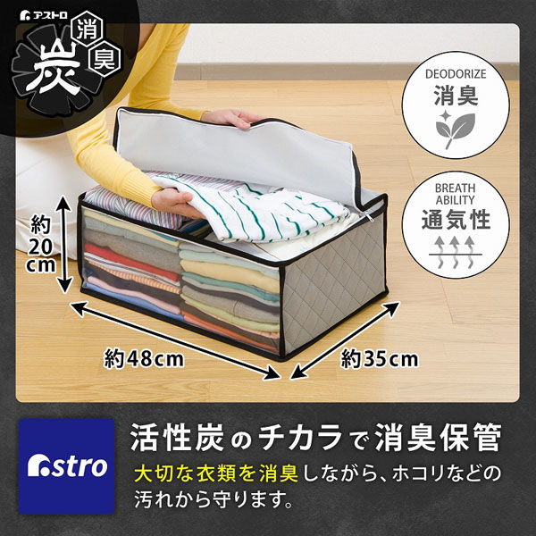 かるあ アストロ 活性炭衣類整理袋 1枚 171-71 1セット(1枚×10)(直送品