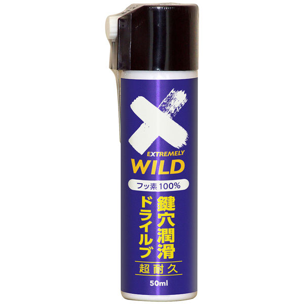 鍵穴潤滑ドライブルスプレー50ml 939 1個 エーゼット（直送品）