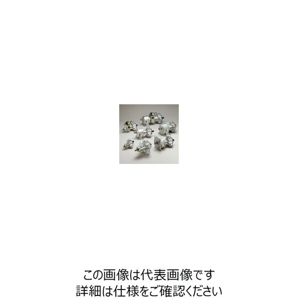 TAIYO（タイヨー） TAIYO エアーモータ TAM4-015LG050 1個（直送品）