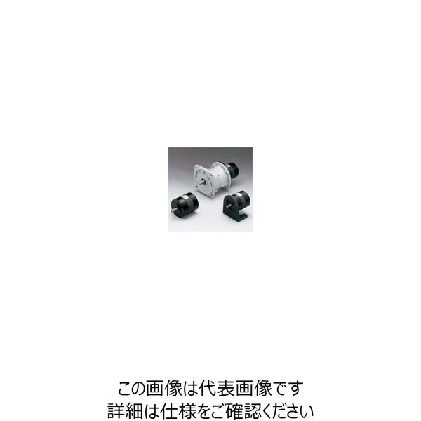 TAIYO エアーモータ TAV4SLー30FG005 TAV4SL-30FG005 1個（直送品）