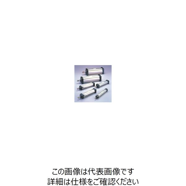 TAIYO エアーシリンダ 10Aー6CC80B450ーAE2 1個（直送品） 33,023円