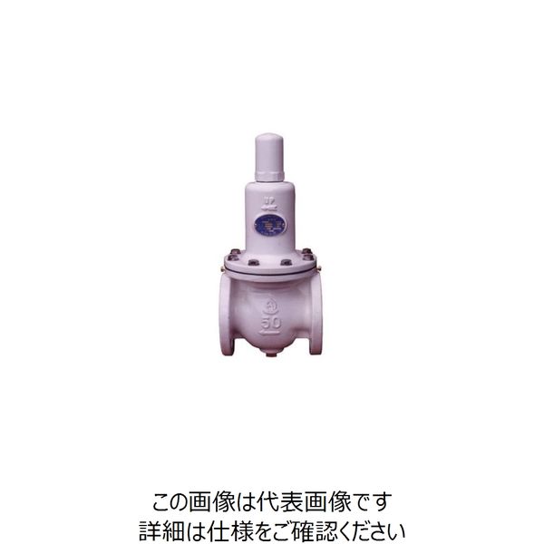 ベン RD14CNーBH減圧弁 RD14CNーBHー125A 1個（直送品）