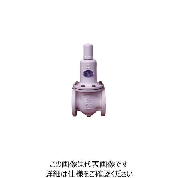 ベン RD14CN-BH減圧弁 RD14CN-BH-125A 1個（直送品）