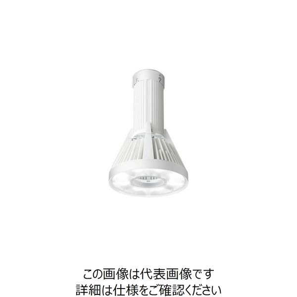 岩崎電気 岩崎 LED高天井照明器具 レディオック ハイーベイ ラムダ 