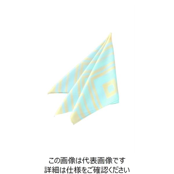 ハネクトーン早川 スカーフ サックス 8069-2 1セット（2枚）（直送品）