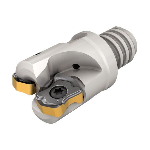 イスカル ロジック4フィード エンドミルマルチマスターねじ式アダプター FFX4 EDーMM ED25/.98-4-MMT15-04 1本（直送品）