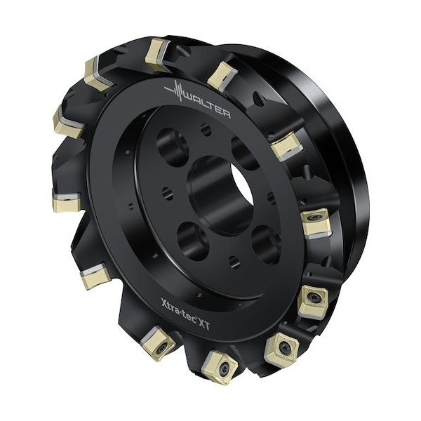 Walter フェイスミルカッター M5009ーBボア穴タイプ 10枚刃 M5009-125-B40-10-06-AP 1個（直送品）