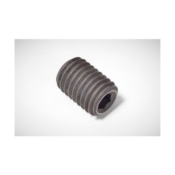 ワルタージャパン Walter ヘッドなしスクリュー FS239 1個 411-6978（直送品）