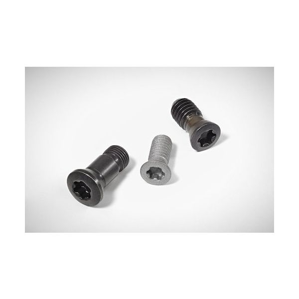 ワルタージャパン Walter ヘッド付きスクリュー FS303 1個 411-5408（直送品）