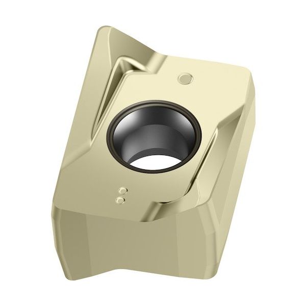 ワルタージャパン Walter ミーリング加工用 ひし形ネガチップ WKP25S LNGX130716R-L55 1セット(10個)（直送品）