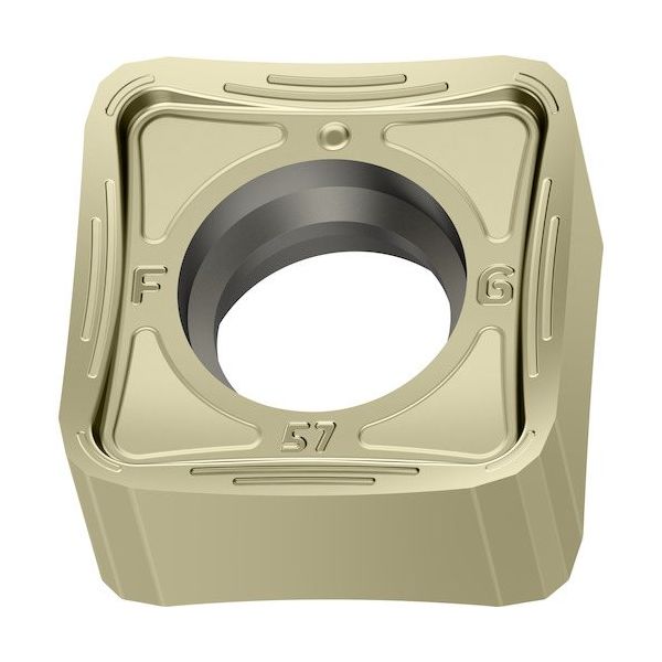 ワルタージャパン Walter ミーリング加工用 正方形ネガチップ WKP25S SNGX1205ENN-F57 1セット(10個)（直送品）