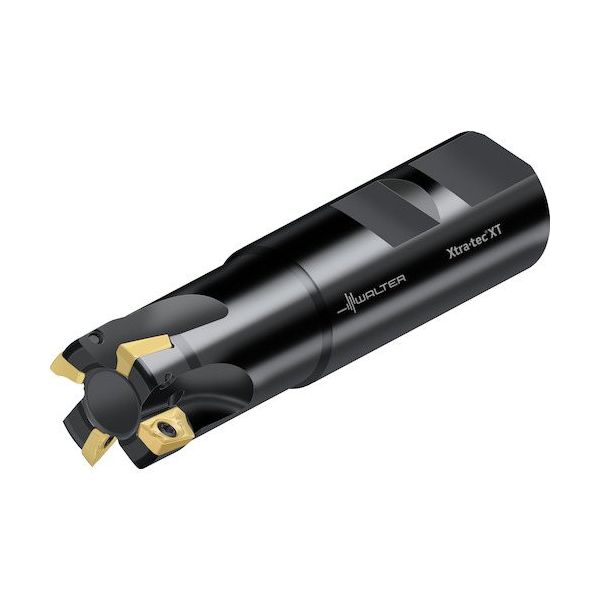 ワルタージャパン Walter 肩削りカッター M5130ーWウェルドンタイプ 5枚刃 M5130-032-W32-05-09 1個（直送品）