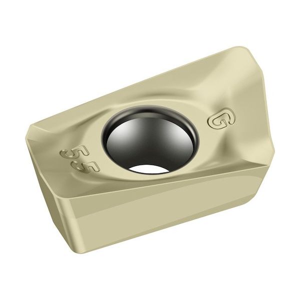 ワルタージャパン Walter ミーリング加工用 ひし形ポジチップ WSP45G BCMT090320R-G55 1セット(10個)（直送品）