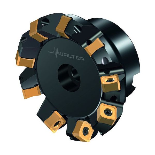 ワルタージャパン Walter フェイスミルカッター M5009ーBボア穴タイプ 8枚刃 M5009-080-B27-08-05 1個（直送品）