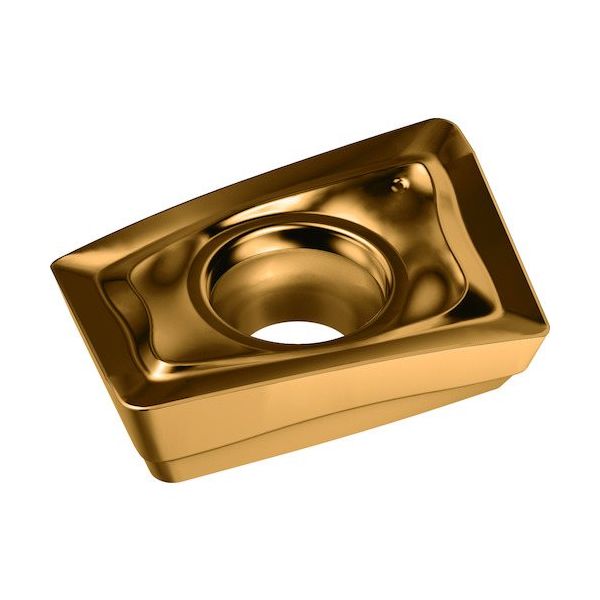 ワルタージャパン Walter ミーリング加工用 ひし形ポジチップ WSP45G LDMT170408R-D51 1セット(10個)（直送品）