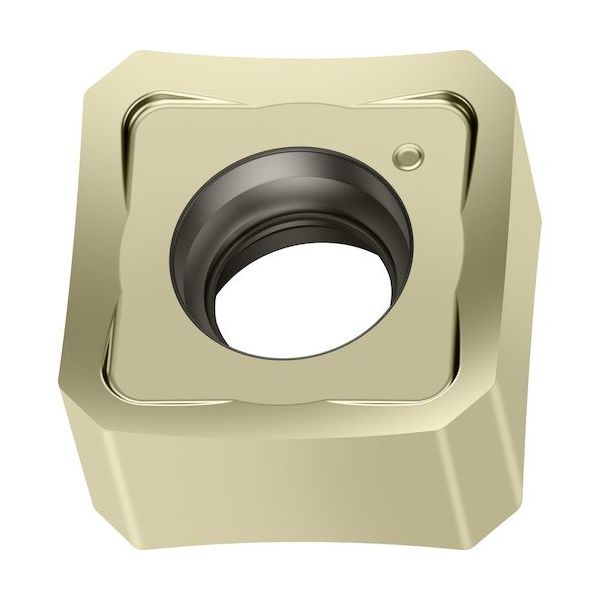 ワルタージャパン Walter ミーリング加工用 正方形ネガチップ WSP45G SNMX0904ANN-F67 1セット(10個)（直送品）