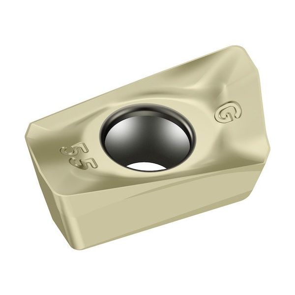 ワルタージャパン Walter ミーリング加工用 ひし形ポジチップ WSP45G BCGT090304R-G55 1セット(10個)（直送品）