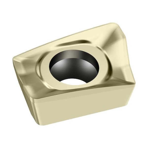 ワルタージャパン Walter ミーリング加工用 ひし形ポジチップ WSP45G ACGT060204R-G65 1セット(10個)（直送品）