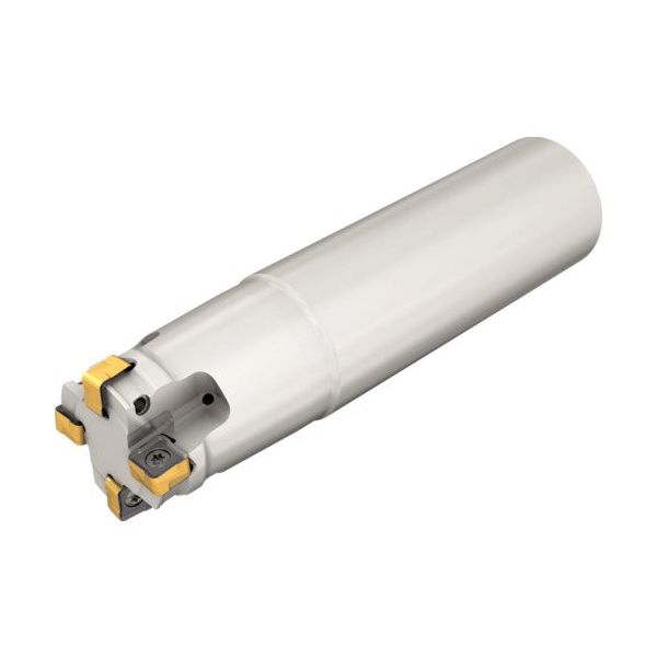 イスカル ネオドゥ エンドミル S890 ESZーR08 ESZ D25-3-C25-R08 1本 422-8589（直送品）