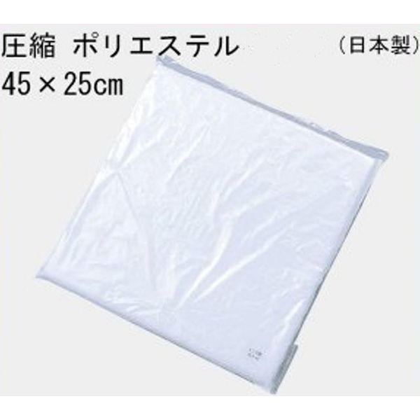 川島織物セルコン クッション中材 圧縮ポリエステル 450×250mm LT1500_06 1個（直送品）