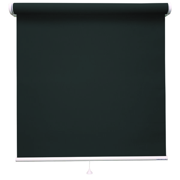立川機工 ロールスクリーン 無地洗える TR-1517 50×60cm Ｍブラック 1台（直送品）