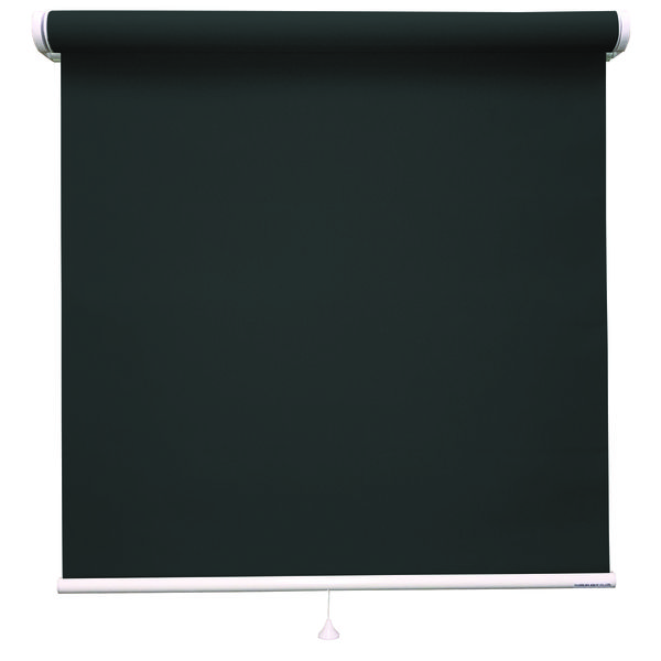 立川機工 ロールスクリーン 無地洗える TR-1517 130×140cm Ｍブラック 1台（直送品）