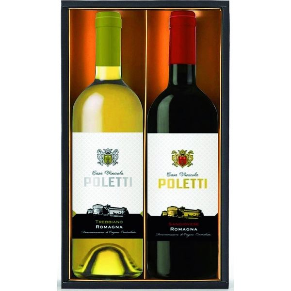 イタリアワイン 2本セット（イタリア赤ワイン2本セット