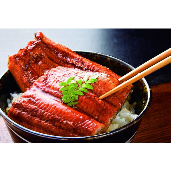 アイガー 【お中元ギフト・のし付き】アイガー 鹿児島県産うなぎ蒲焼セット KA-UK2 820689 1セット（直送品） 5,524円