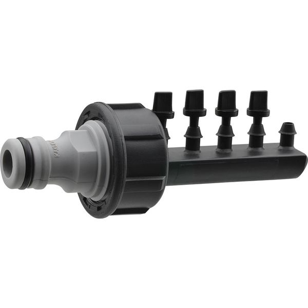 ボアカンガアフリカーナ　60g エロンガトゥスフタマタクワガタ60mmペア | すべての商品 | 極