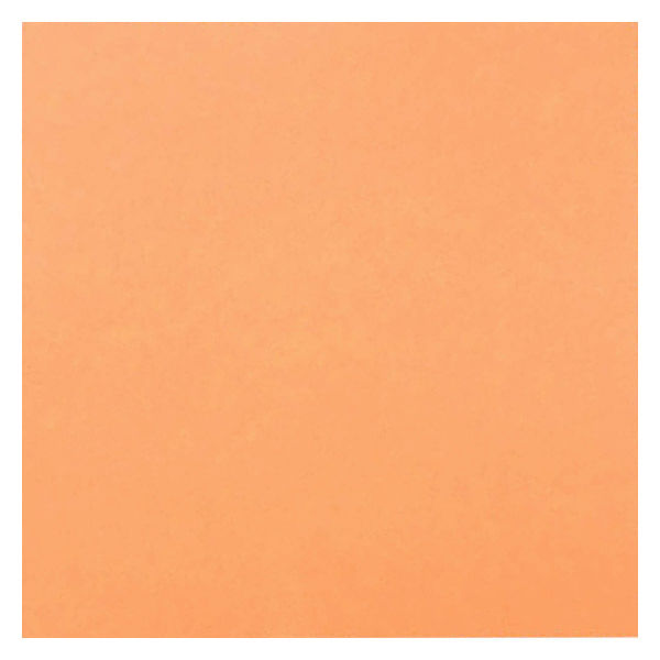 菅公工業 タックカラーシール いろがみ 単色 薄橙 15cm 20枚入 ミ672 - アスクル