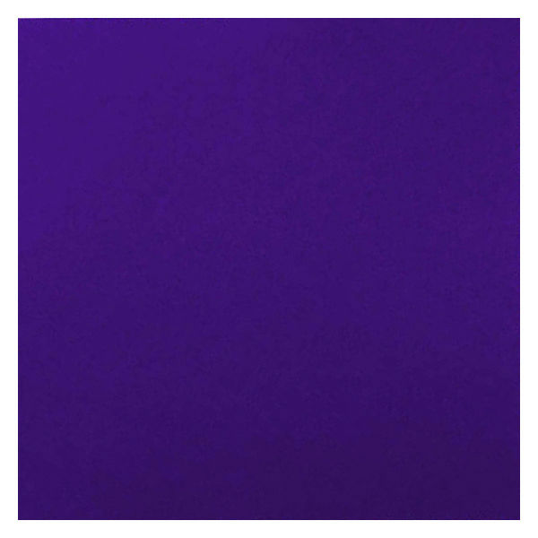 菅公工業 タックカラーシール いろがみ 単色 紫 15cm 20枚入 ミ676